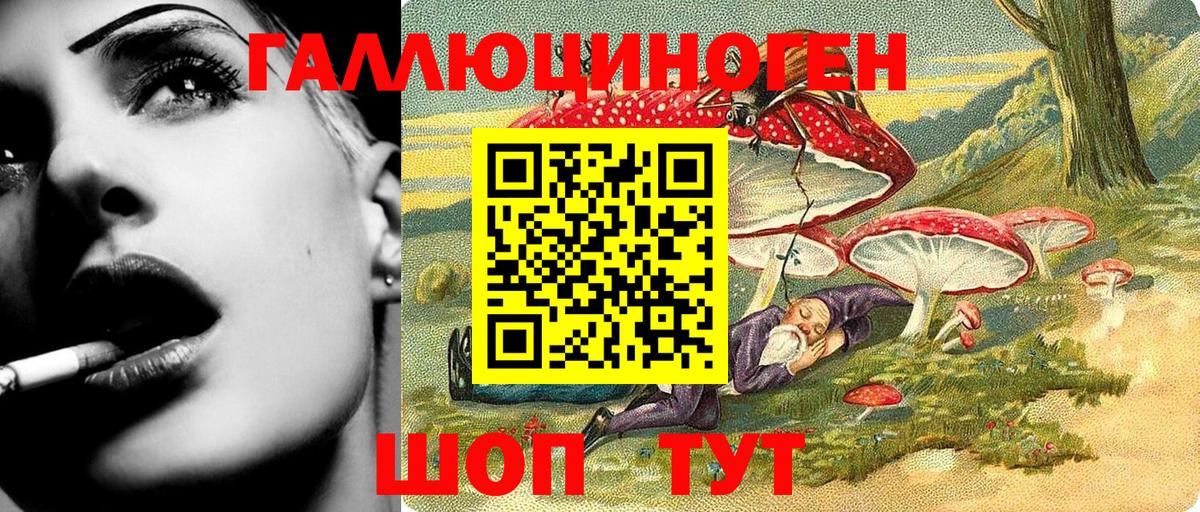 Новочебоксарск  купить наркотик  Псилоцибиновые грибы MAGIC MUSHROOMS  Вход с VPN  Галлюциногенные грибы MAGIC MUSHROOMS 